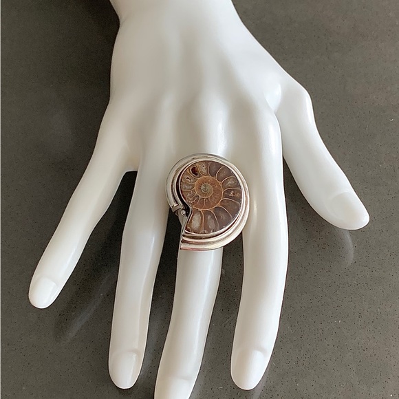 Ammonite and Sterling Silver Ring - Picture 7 of 9